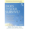 Does the Soul Survive? (2nd Edition): A Jewish Journey to Belief in Afterlife, Past Lives & Living with Purpose