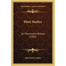 Plant Studies: An Elementary Botany (1900)