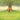 Pippa and the Singing Tree: Joining the Song of All Creation