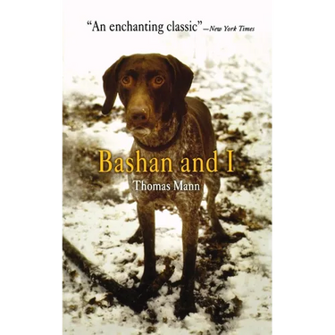 Bashan and I