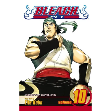 Bleach, Vol. 10: Tattoo on the Sky
