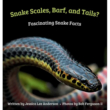 Snake Scales, Barf, and Tails? Fascinating Snake Facts