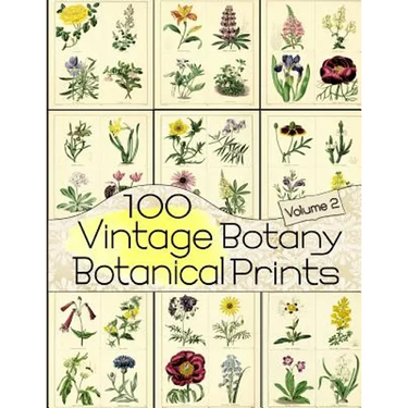 100 Vintage Botany Botanical Prints Volume 2