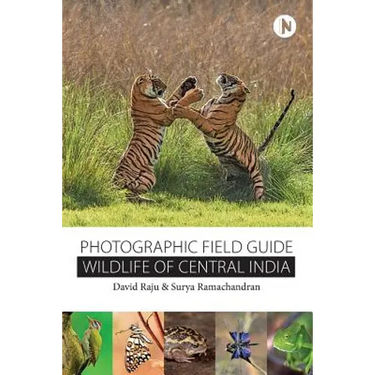 Wildlife of Central India: Photographic Field Guide