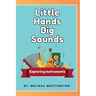 Little Hands, Big Sounds: Exploring Instruments for Early Learners