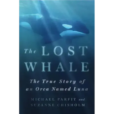 Lost Whale