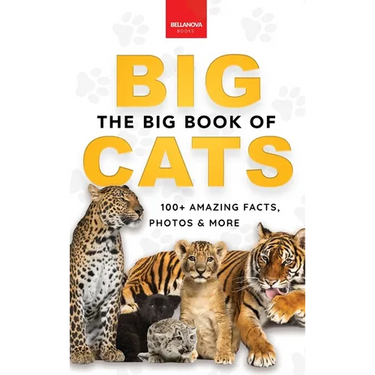 The Big Book of Big Cats: Big Cat Facts: 100+ Amazing Facts About Lions, Tigers, Leopards, Snow Leopards & Jaguars