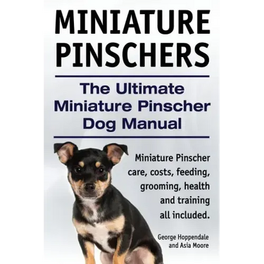 Miniature Pinschers. The Ultimate Miniature Pinscher Dog Manual. Miniature Pinscher care, costs, feeding, grooming, health and training all included.