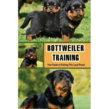 Rottweiler Training: Your Guide to Raising This Loyal Breed: How To Raise A Rottweiler?