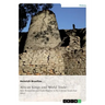 African Kings and World Trade. State Formations and Trade Patterns in pre-colonial South-East Africa: And their relation to the Indian Ocean Rim befor
