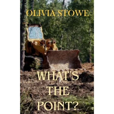 What's The Point?: Charlotte Diamond Mysteries 5