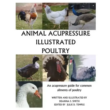 Animal Acupressure Illustrated Poultry