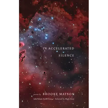 In Accelerated Silence: Poems