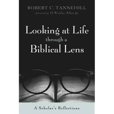 Looking at Life Through a Biblical Lens: A Scholar's Reflections