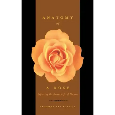 Anatomy of a Rose: Exploring the Secret Life of Flowers