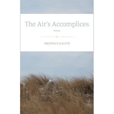 The Air's Accomplices: Poems