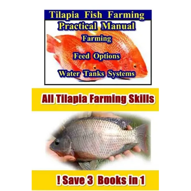 Tilapia Fish Farming