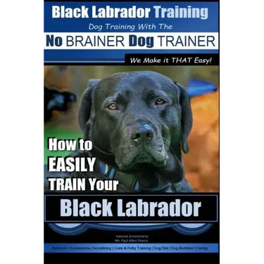 Black Labrador Training with the No BRAINER Dog TRAINER We Make it THAT Easy!: How to EASILY TRAIN Your Black Labrador