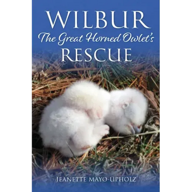 Wilbur: The Great Horned Owlet's Rescue