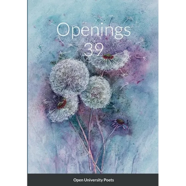 Openings 39