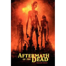Aftermath of the Dead