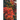 The Flame Trees