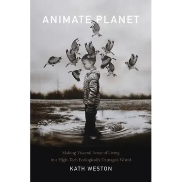 Animate Planet: Making Visceral Sense of Living in a High-Tech Ecologically Damaged World
