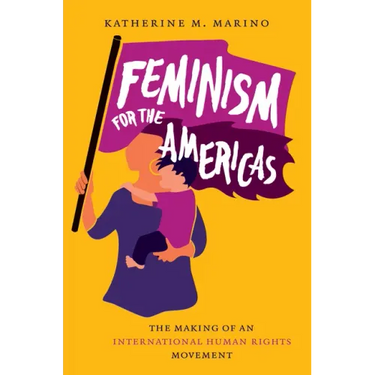 Feminism for the Americas: The Making of an International Human Rights Movement