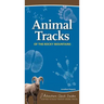 Animal Tracks of the Rocky Mountains: Your Way to Easily Identify Animal Tracks