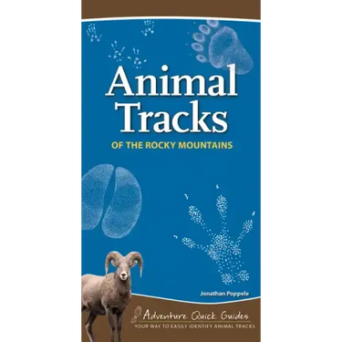 Animal Tracks of the Rocky Mountains: Your Way to Easily Identify Animal Tracks