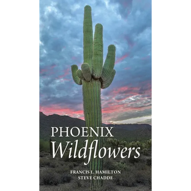 Phoenix Wildflowers: A Field Guide to the Common Shrubs, Herbs, Cacti and Ferns of the Phoenix Region