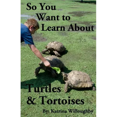 So You Want to Learn About Turtles & Tortoises