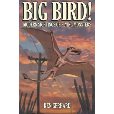 Big Bird! - Modern Sightings of Flying Monsters