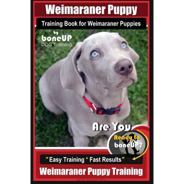 Weimaraner Puppy Training Book for Weimaraner Puppies By BoneUP DOG Training: Are You Ready to right way Bone Up? Easy Training * Fast Results Weimara