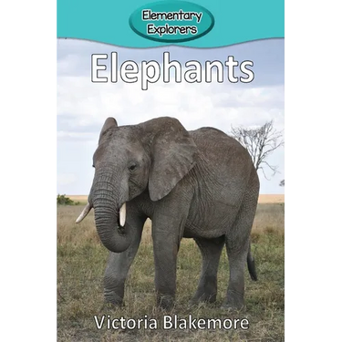 Elephants