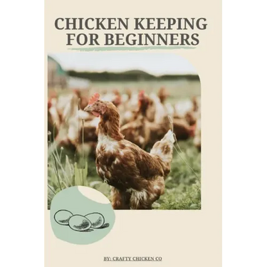 Chicken Keeping For Beginners: The basics of chicken keeping