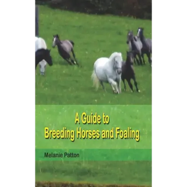 A Guide to Breeding Horses and Foaling