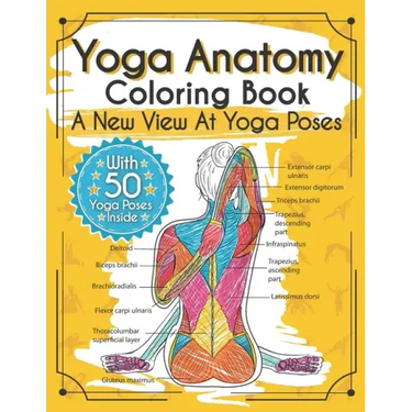 Yoga Anatomy Coloring Book: A New View At Yoga Poses
