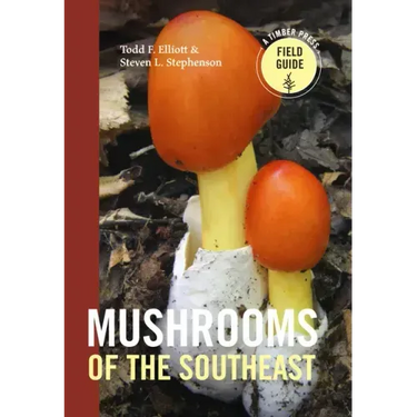 Mushrooms of the Southeast