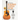 Bluegrass Flatpick Guitar-Solos, Licks and Tricks Volume 1: Concepts and Tunes