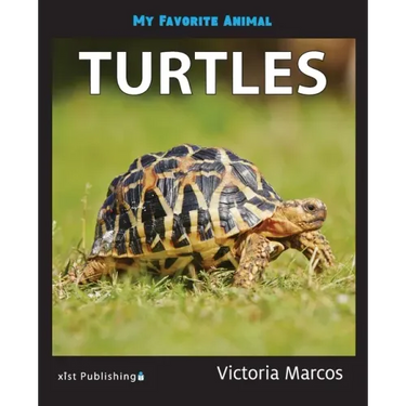 My Favorite Animal: Turtles