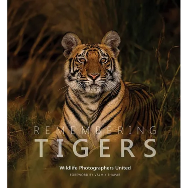 Remembering Tigers