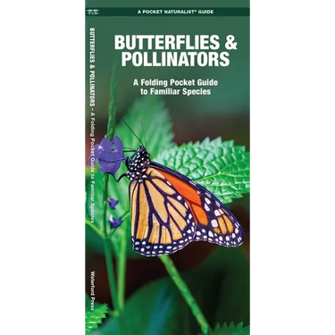 Butterflies & Pollinators: A Folding Pocket Guide to Familiar Species