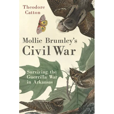 Mollie Brumley's Civil War: Surviving the Guerrilla War in Arkansas
