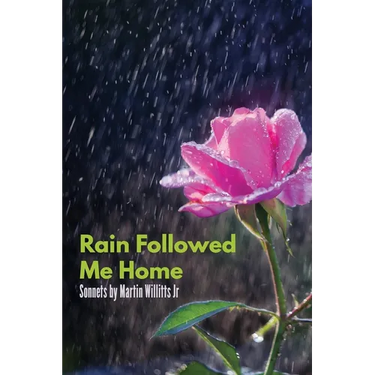 Rain Followed Me Home