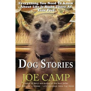 Dog Stories: Everything You Need To Know About Life Is Right There At Your Feet