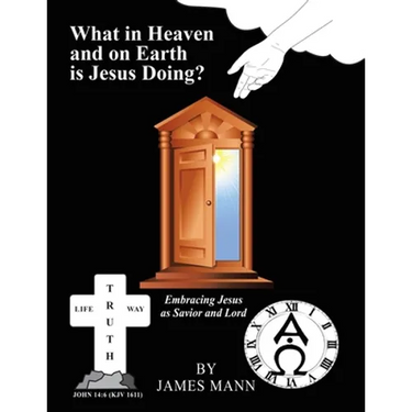 What in Heaven and on Earth Is Jesus Doing?: Embracing Jesus as Savior and Lord
