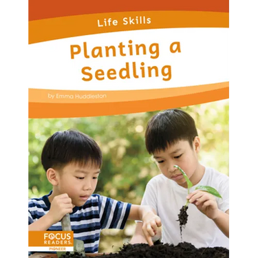Planting a Seedling