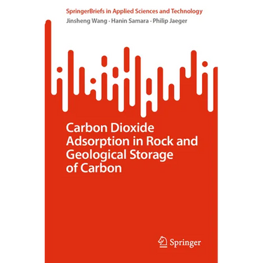 Carbon Dioxide Adsorption in Rock and Geological Storage of Carbon
