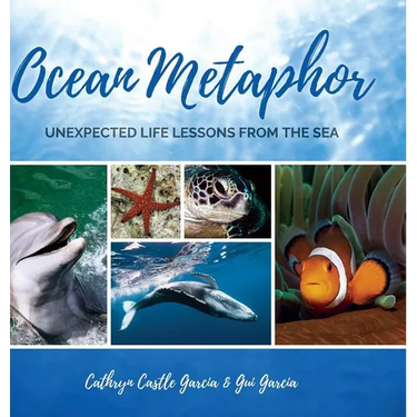Ocean Metaphor: Unexpected Life Lessons from the Sea